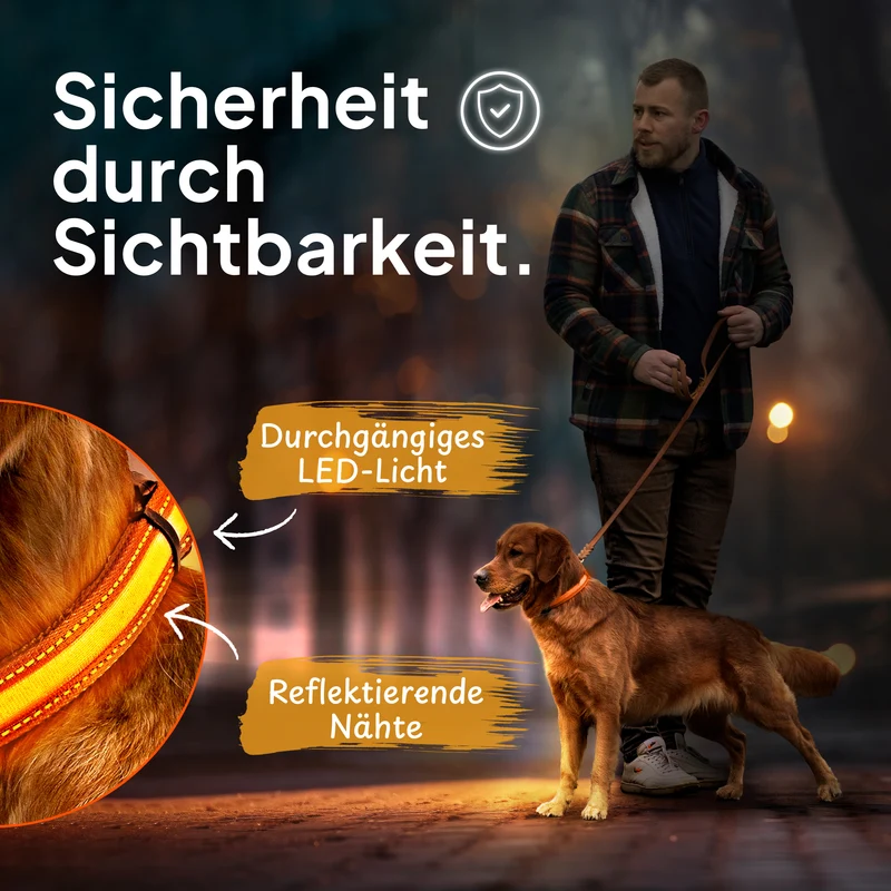Leuchthalsband LED