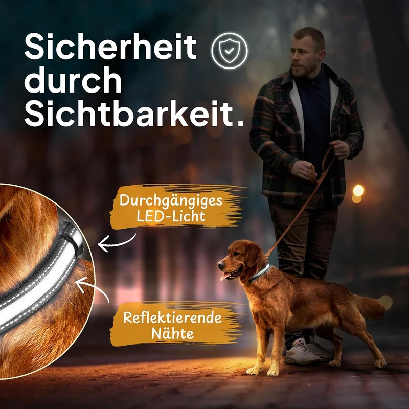 Leuchthalsband LED