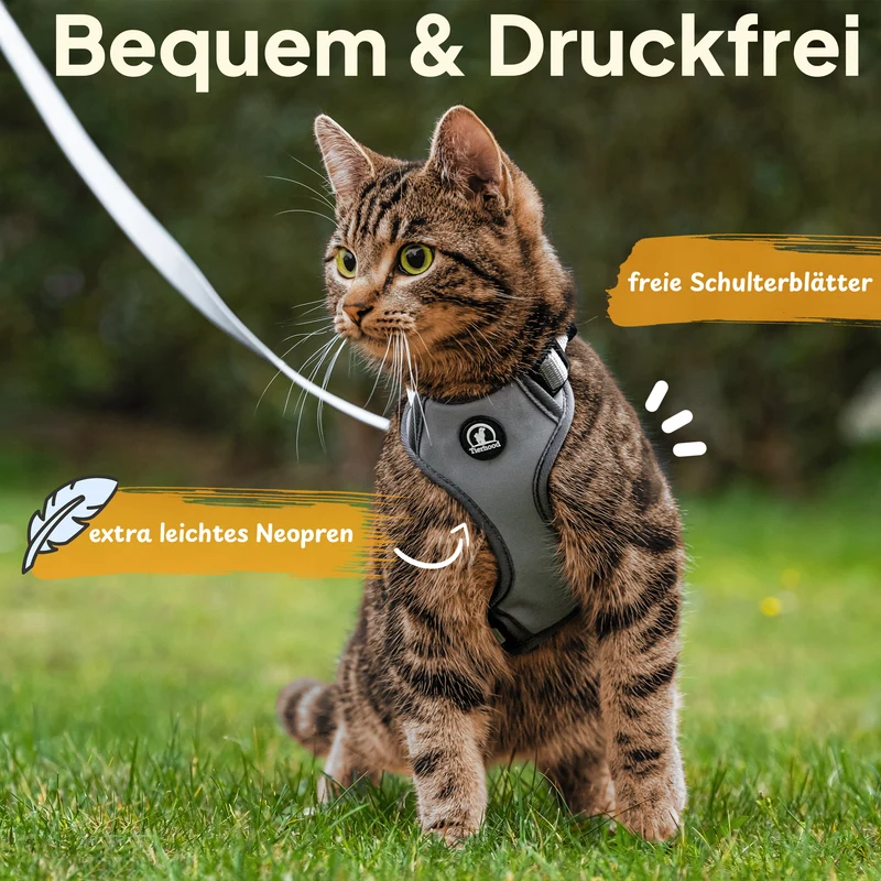 Katzengeschirr Set inkl. Katzenleine (mit Halsklipp)