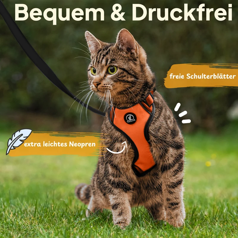 Katzengeschirr Set inkl. Katzenleine (mit Halsklipp)