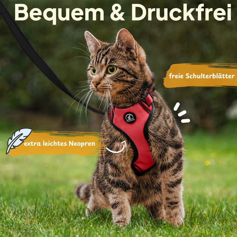 Katzengeschirr Set inkl. Katzenleine (mit Halsklipp)