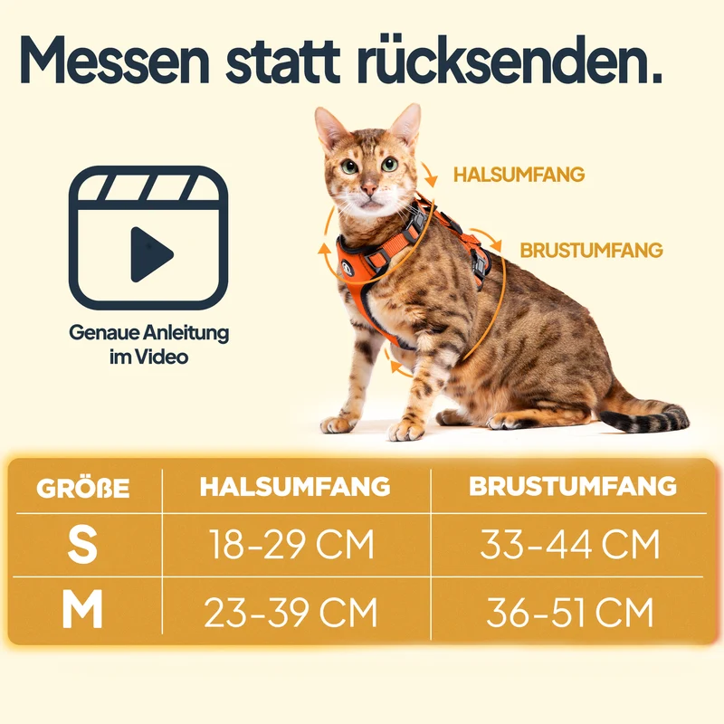Katzengeschirr Set inkl. Katzenleine (mit Halsklipp)