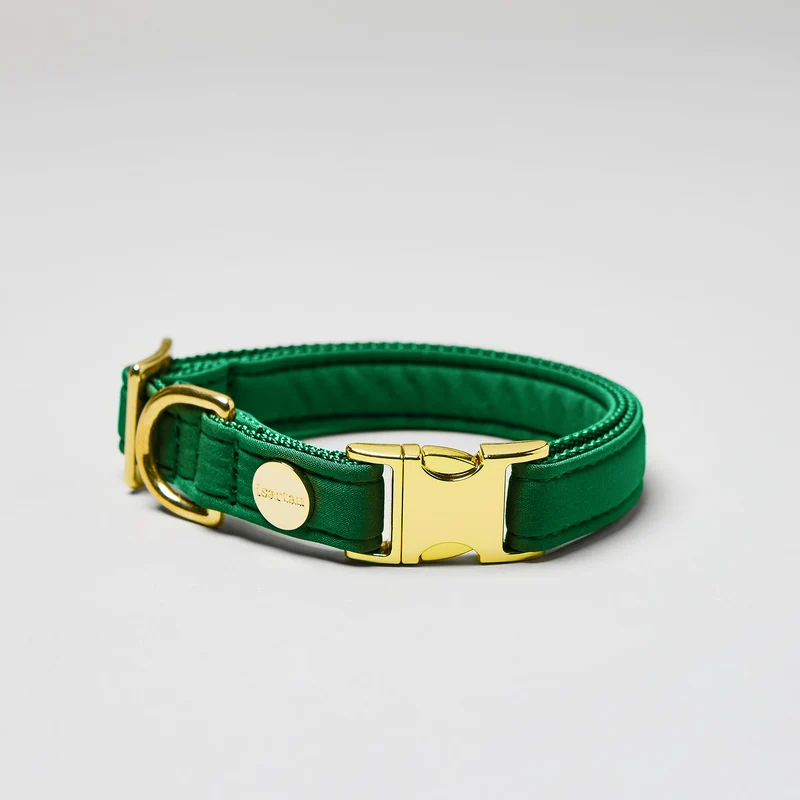 Halsband Softie GRÜN
