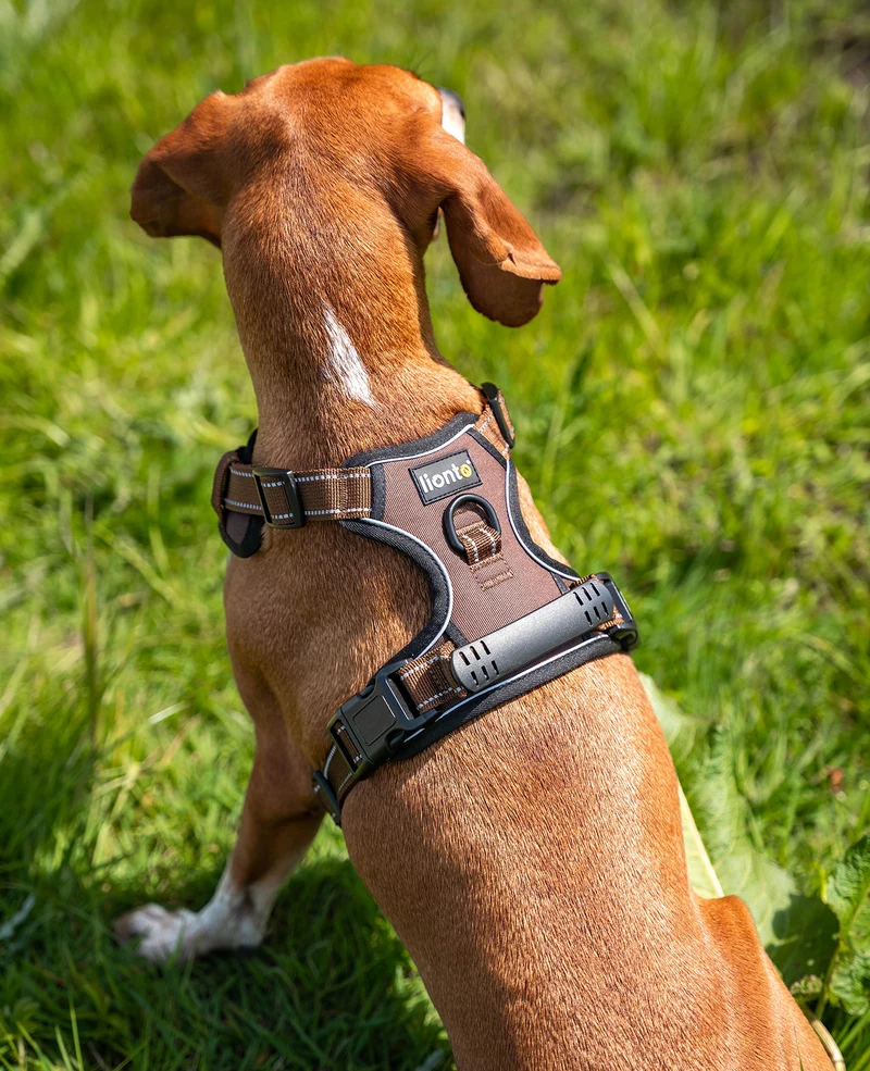 Hundegeschirr gepolstert und reflektierend