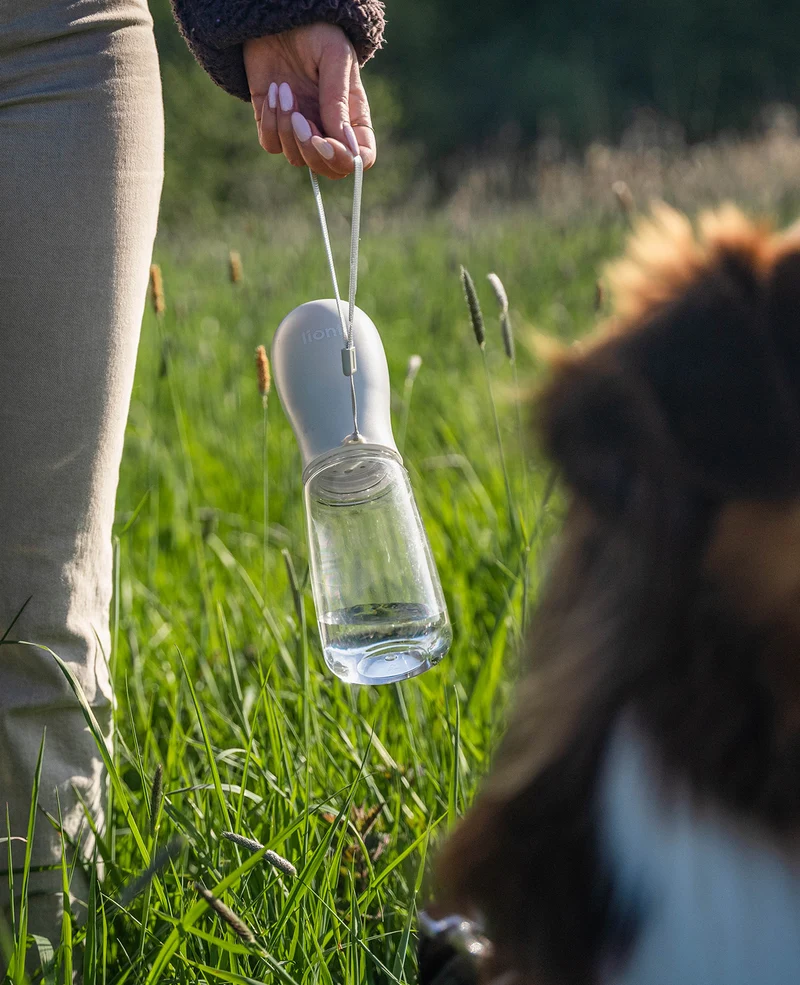 Wasserflasche für unterwegs