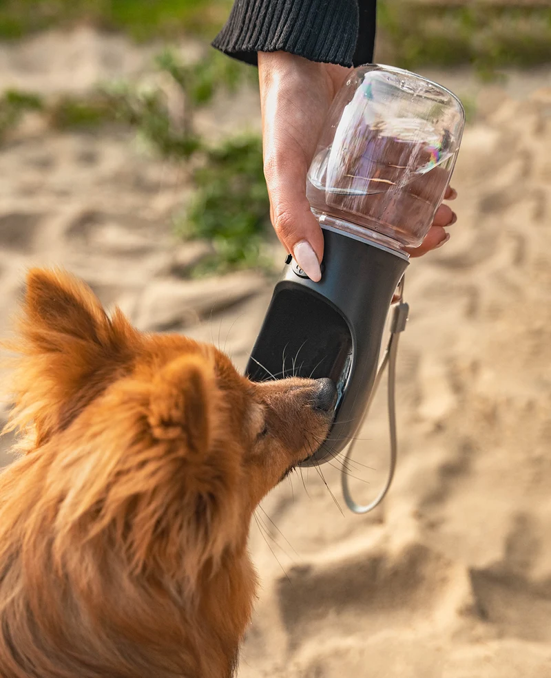 Wasserflasche für unterwegs