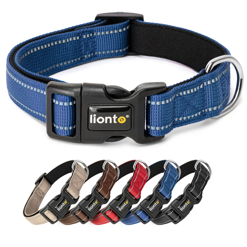 Hundehalsband gepolstert, reflektierend und wasserfest