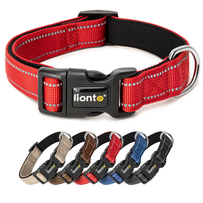 Hundehalsband gepolstert, reflektierend und wasserfest