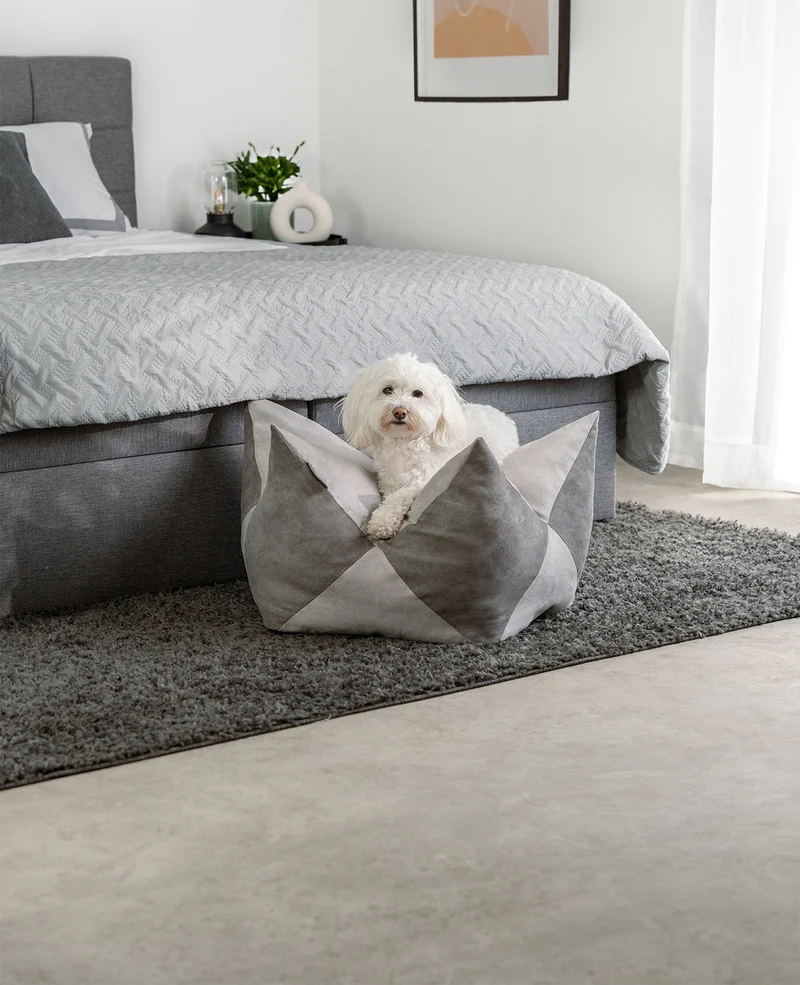 Kronenkissen für Hunde