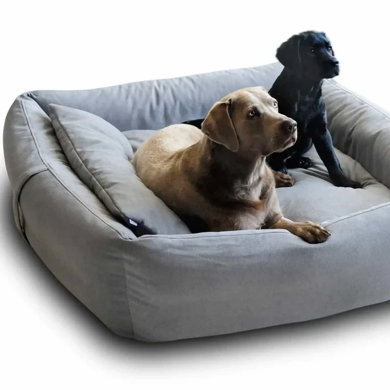 Boox Hundebett