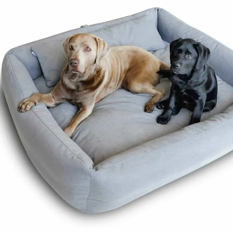 Boox Hundebett