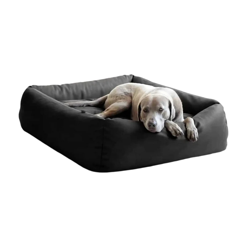 Boox Leder Hundebett
