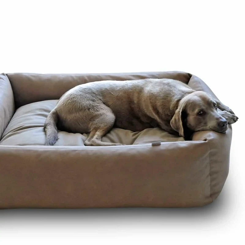 Boox Leder Hundebett