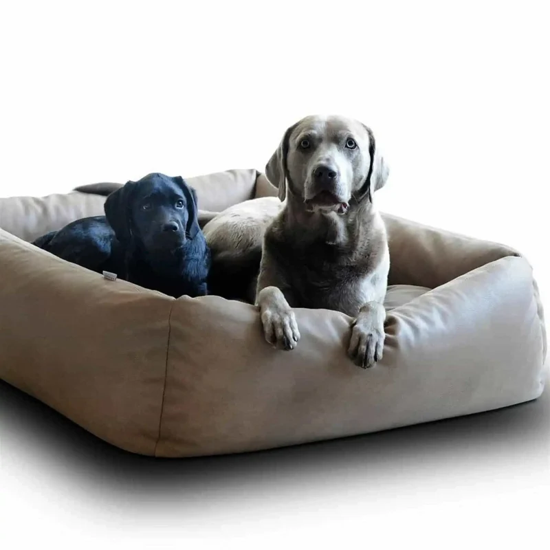 Boox Leder Hundebett
