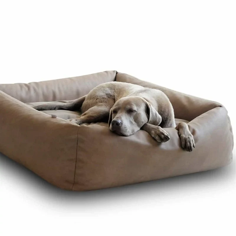 Boox Leder Hundebett