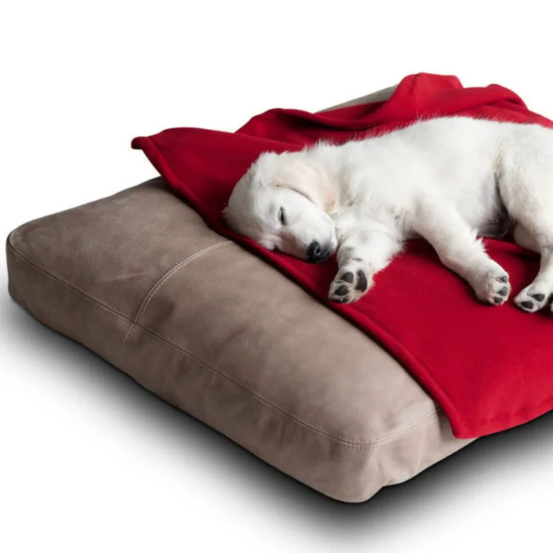 Lounge Kissen Sofy