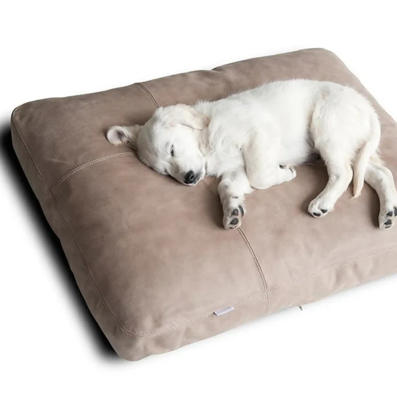 Lounge Kissen Sofy