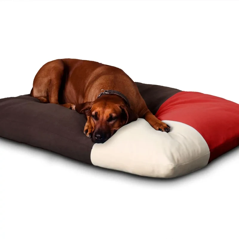 Divan Quattro Design Hundekissen