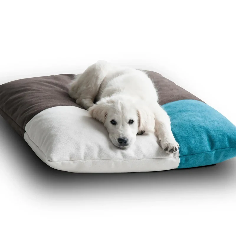 Divan Quattro Design Hundekissen
