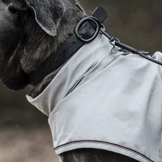 Kentucky Hundehalsband Soft Rubber - Schwarz
