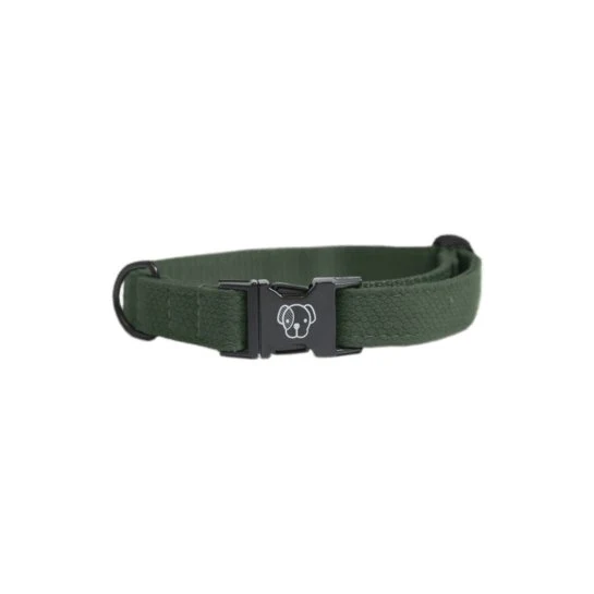 Kentucky Hundehalsband Eidechse - Grün