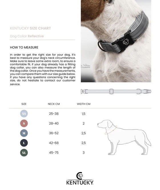 Kentucky Hundehalsband Reflektierend