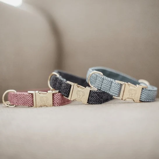 Kentucky Hundehalsband Wolle - Hellblau