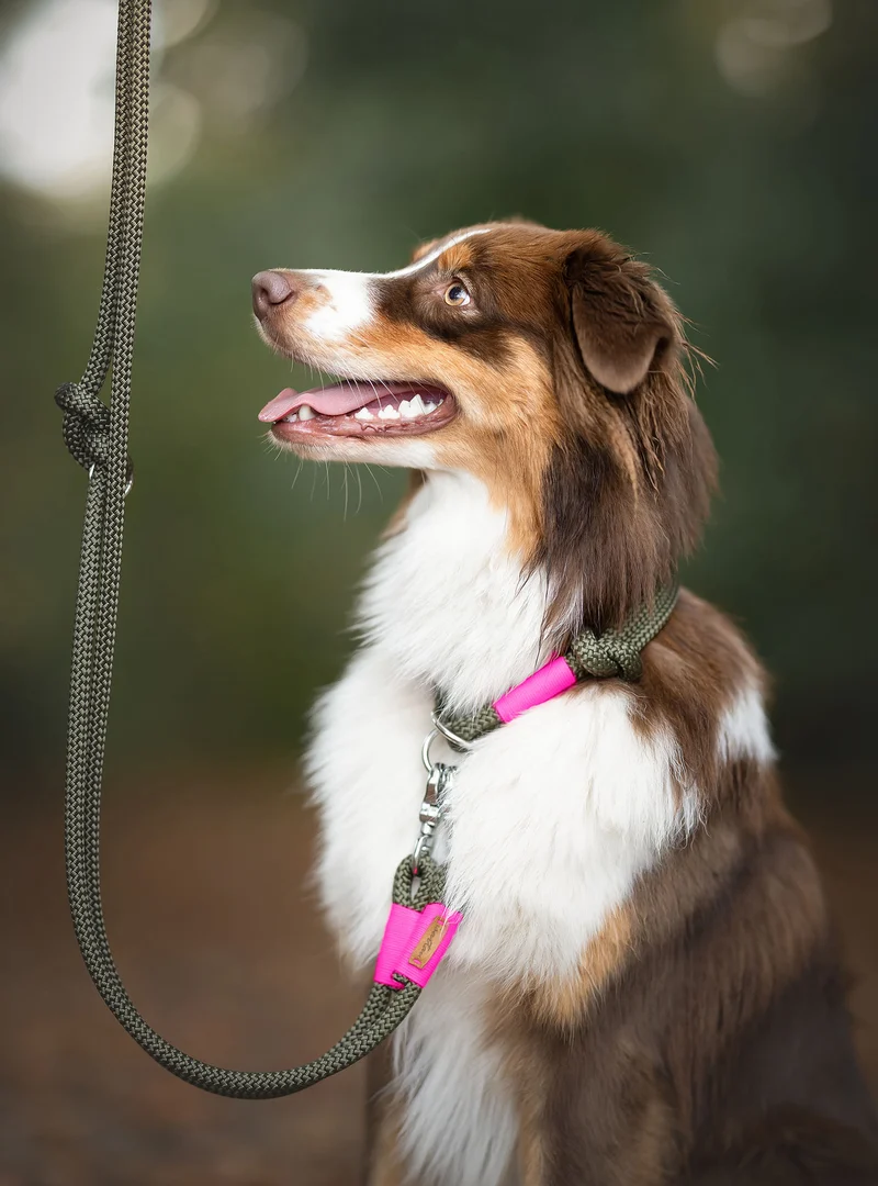 Zugstopp-Halsband Olive Grove NEONPINK