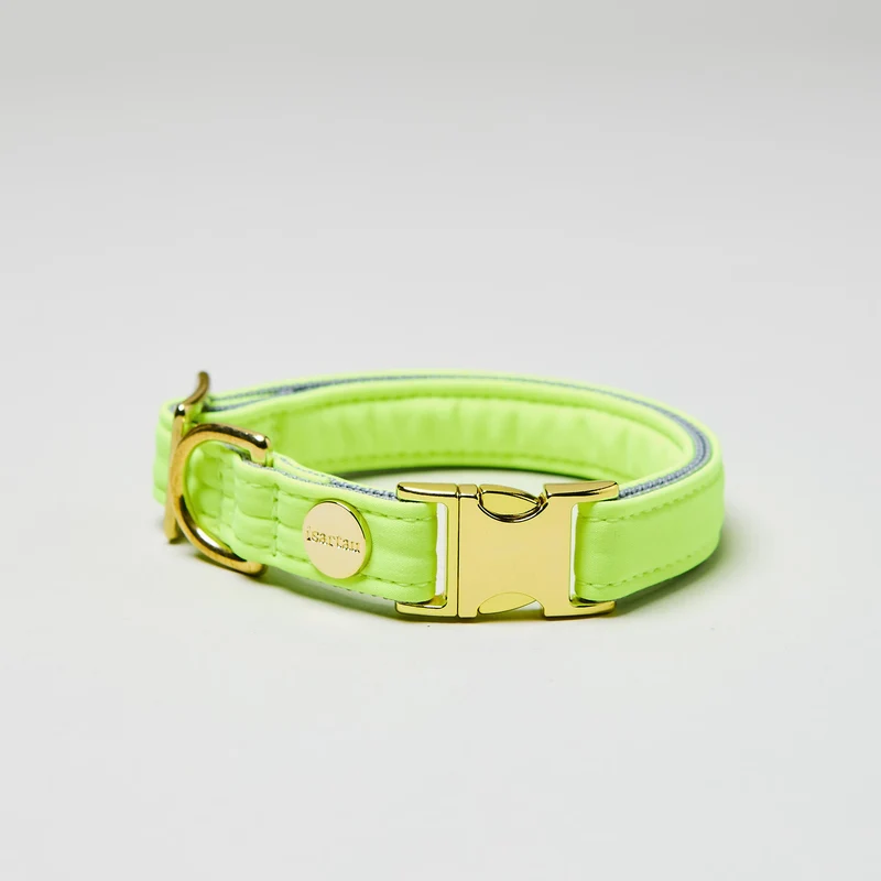 Welpenhalsband Softie NEONGELB-GRAU