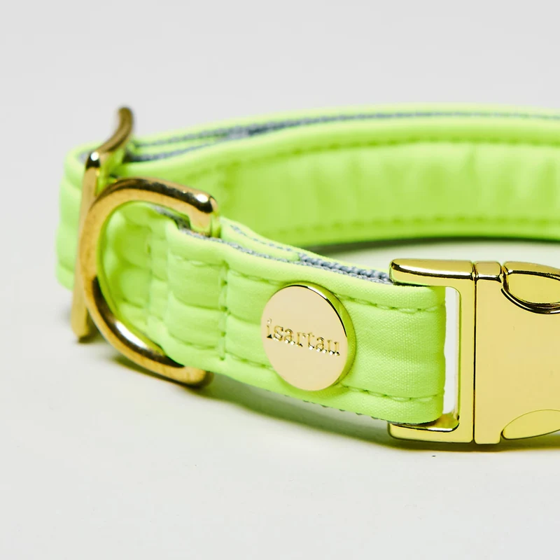 Welpenhalsband Softie NEONGELB-GRAU