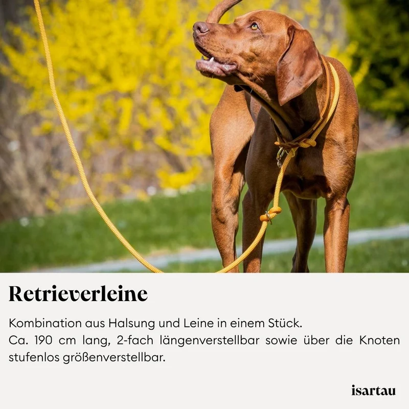 Tau-Retrieverleine Easy Summer HELLBLAU, 190 cm (integrierte Halsung)