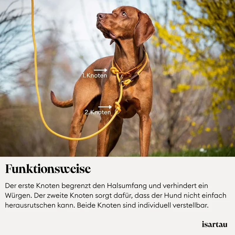 Tau-Retrieverleine Easy Summer HELLBLAU, 190 cm (integrierte Halsung)