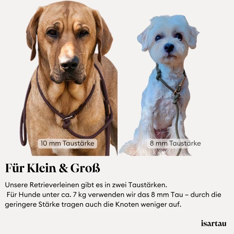 Tau-Retrieverleine Easy Summer HELLBLAU, 190 cm (integrierte Halsung)