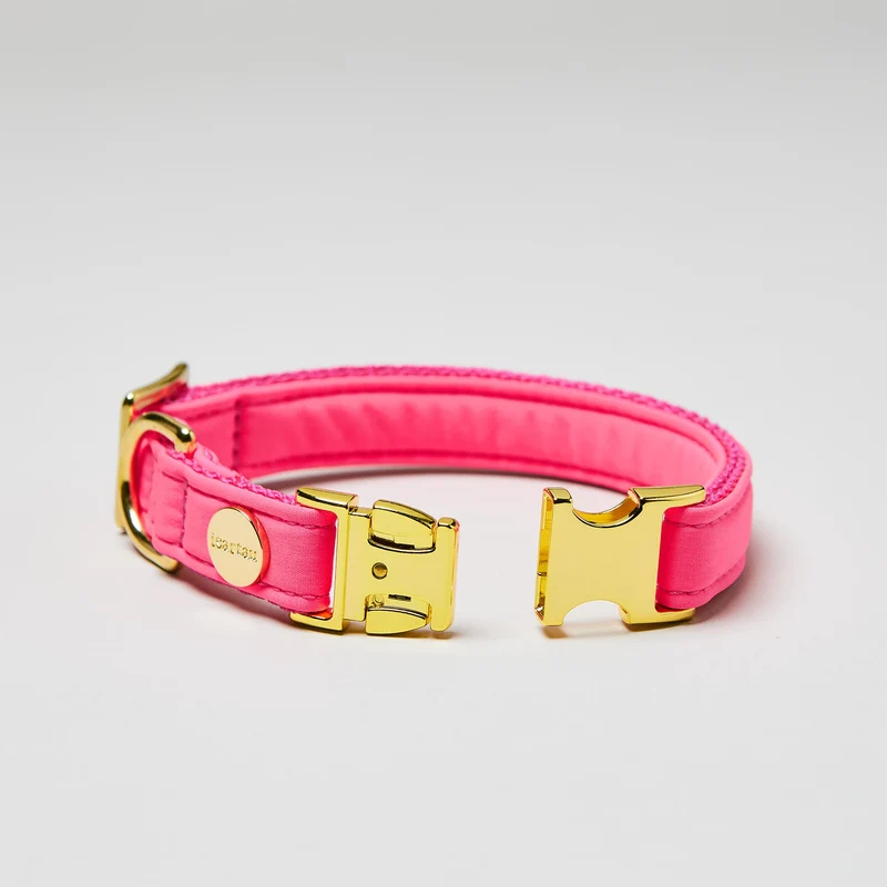 Welpenhalsband Softie NEONPINK