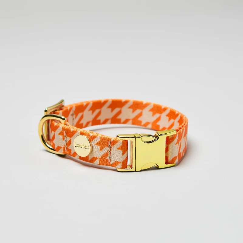 Designerhalsband WANDLER