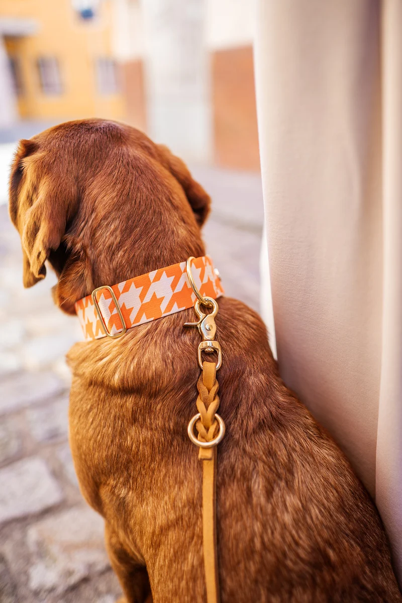 Welpenhalsband WANDLER
