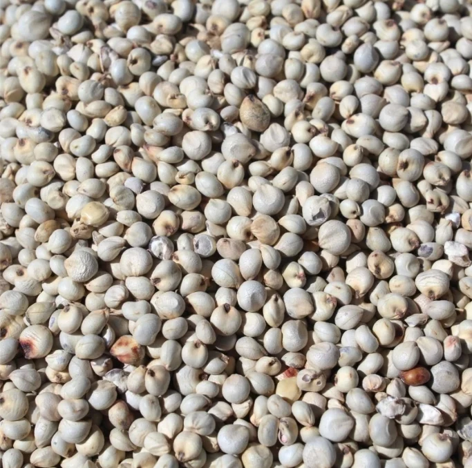 Dari Weiß 1kg