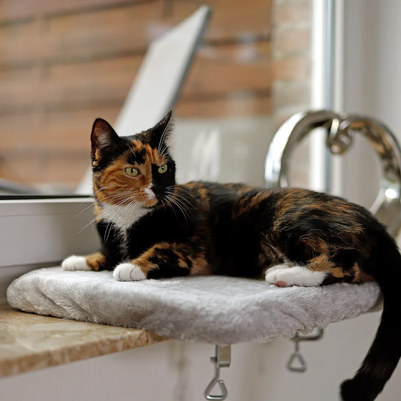 Fensterbankliege für Katzen