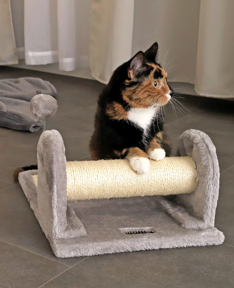Kratzbrett mit Plüsch und Spielball