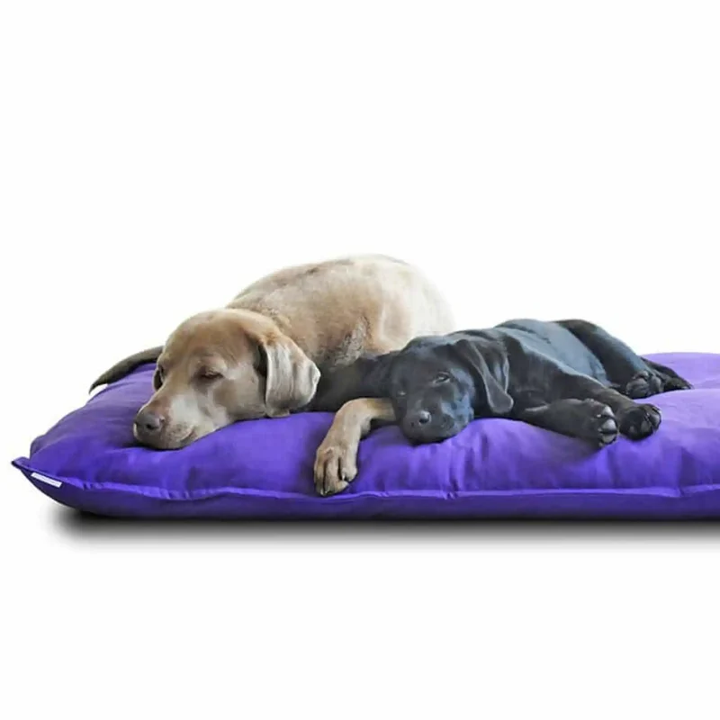 Divan Uno Hundekissen Rechteckig