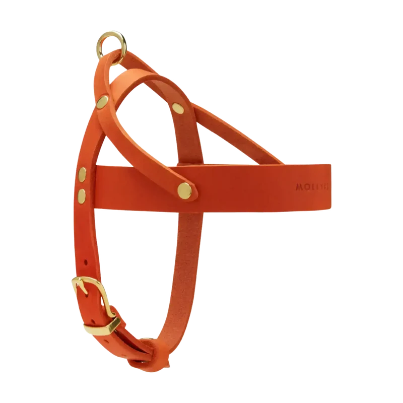 Butter Leather Geschirr