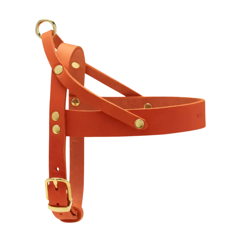 Butter Leather Geschirr