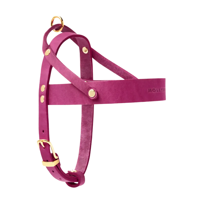 Butter Leather Geschirr