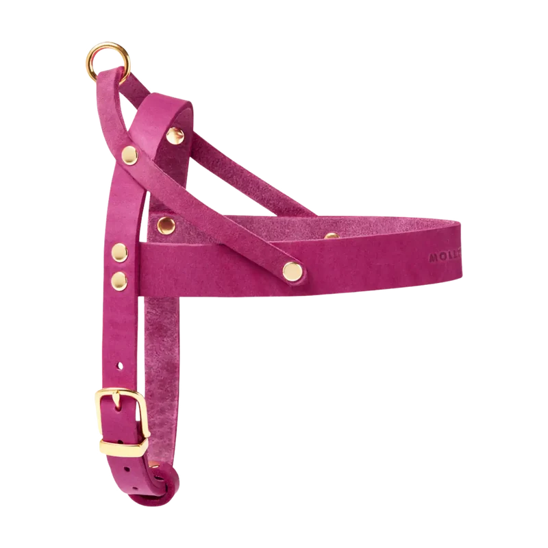 Butter Leather Geschirr