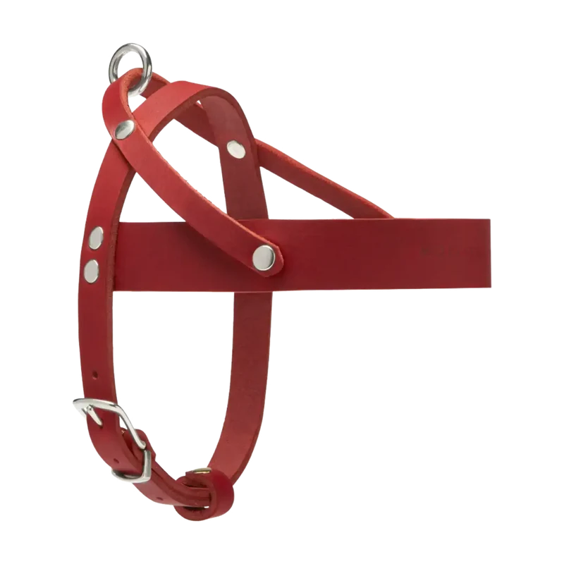 Butter Leather Geschirr