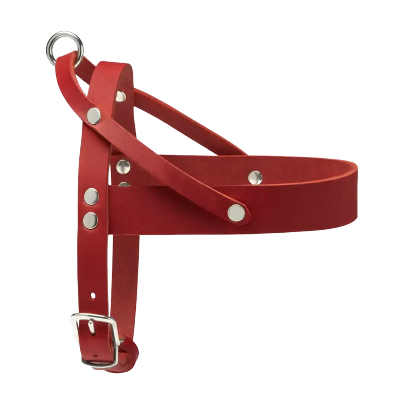 Butter Leather Geschirr