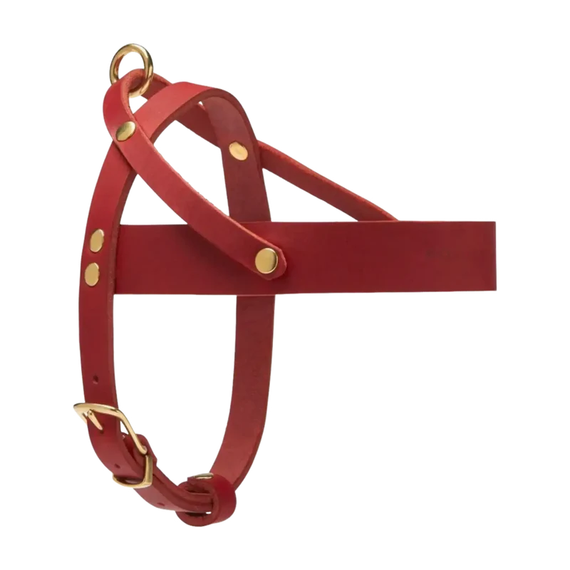 Butter Leather Geschirr