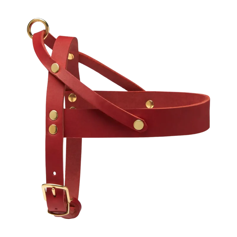 Butter Leather Geschirr