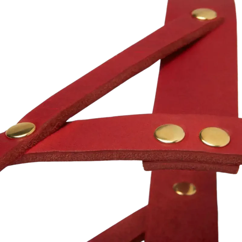 Butter Leather Geschirr
