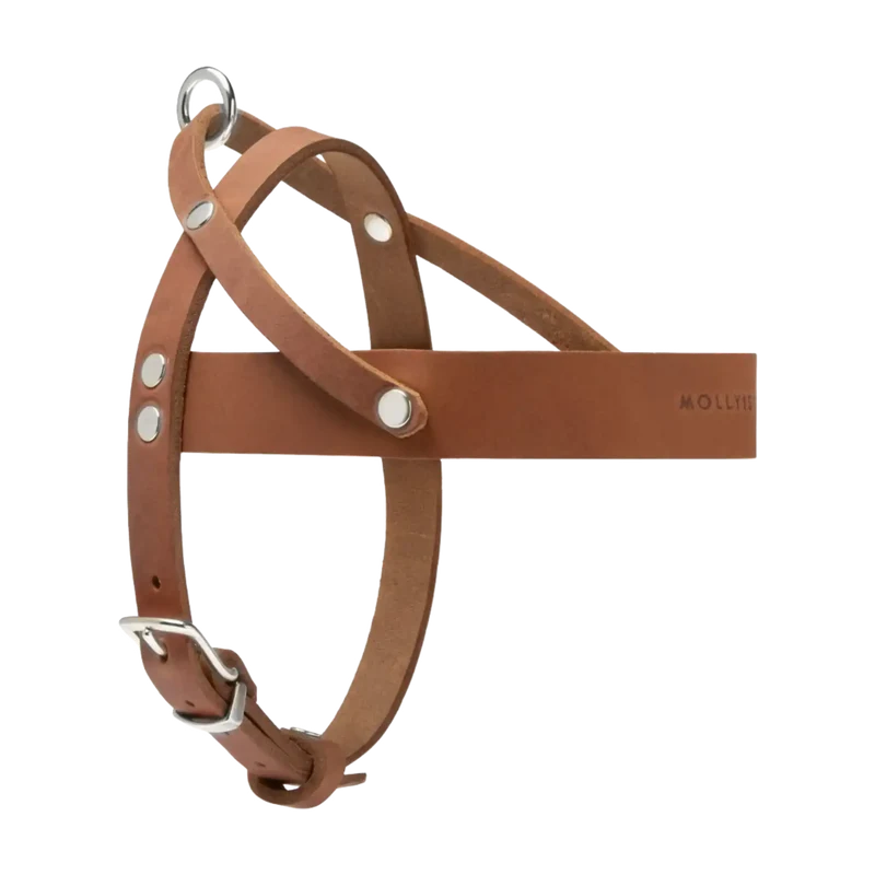 Butter Leather Geschirr